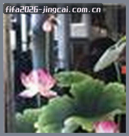 赵鹏