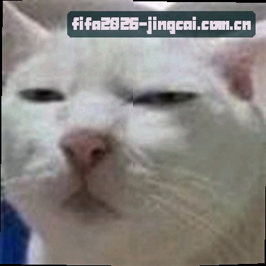 孙杰