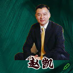 赵凯